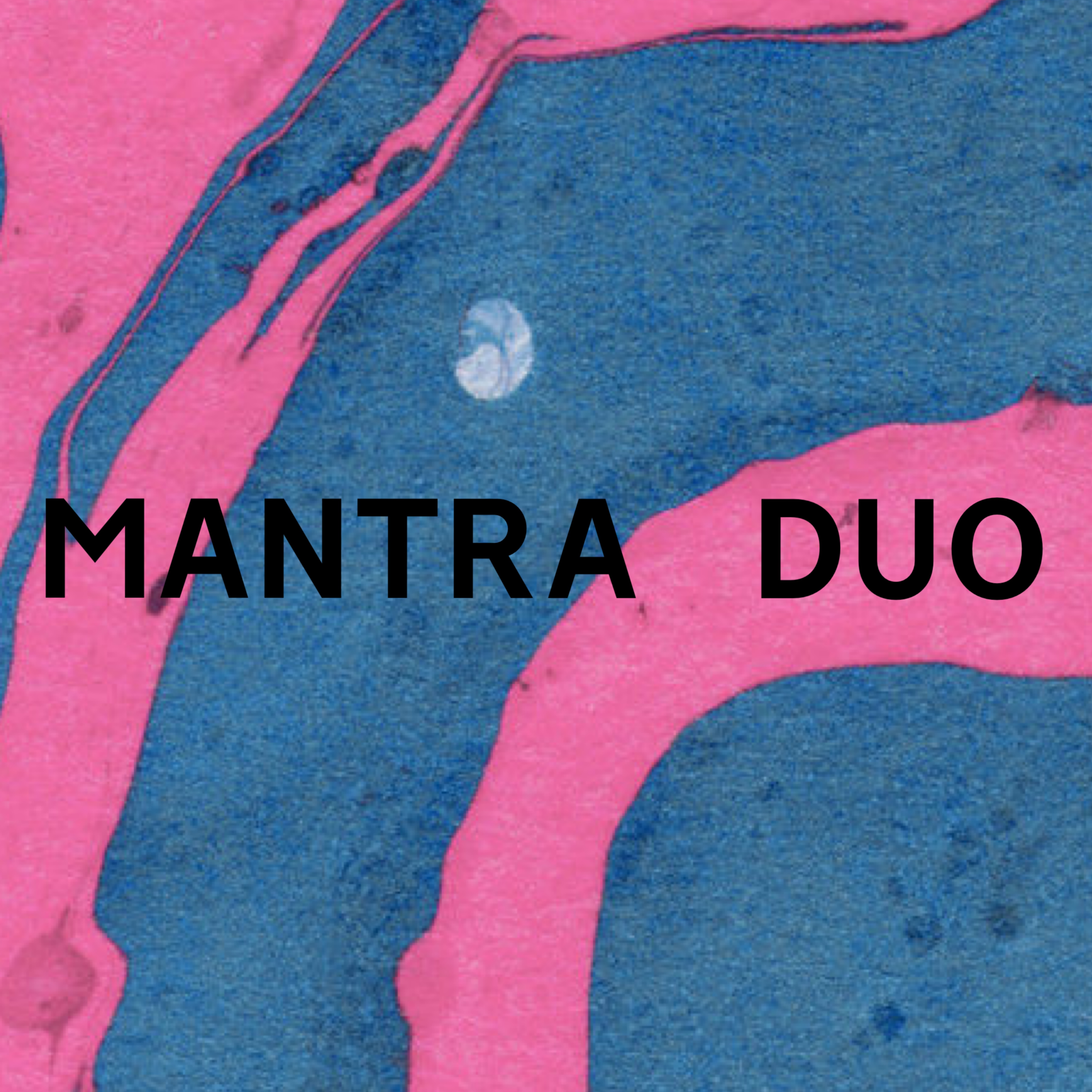 Mantra Duo
